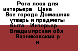 Рога лося для интерьера › Цена ­ 3 300 - Все города Домашняя утварь и предметы быта » Интерьер   . Владимирская обл.,Вязниковский р-н